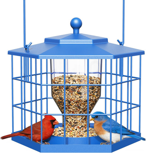 Squirrel proof bird feeders - bird,