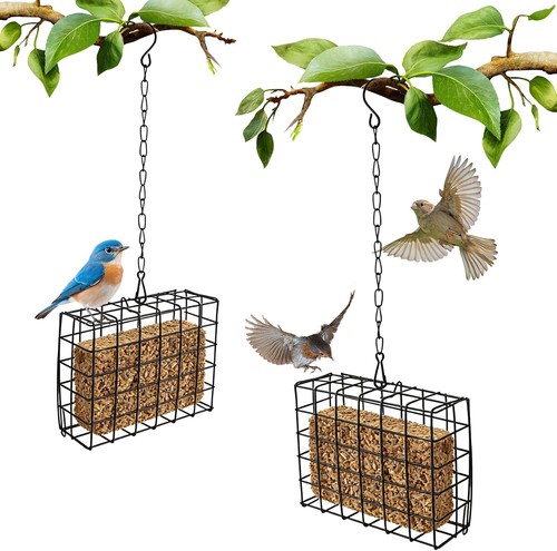 2pcs bird feeder - bird,